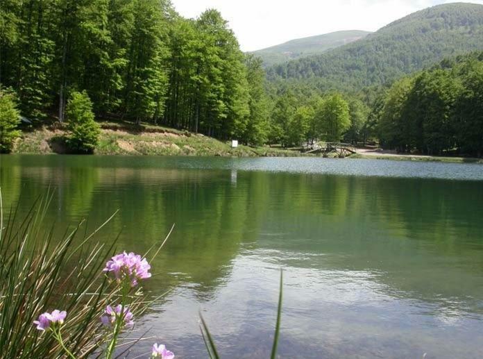 Gite Botiga Saint-Jean-le-Vieux  외부 사진